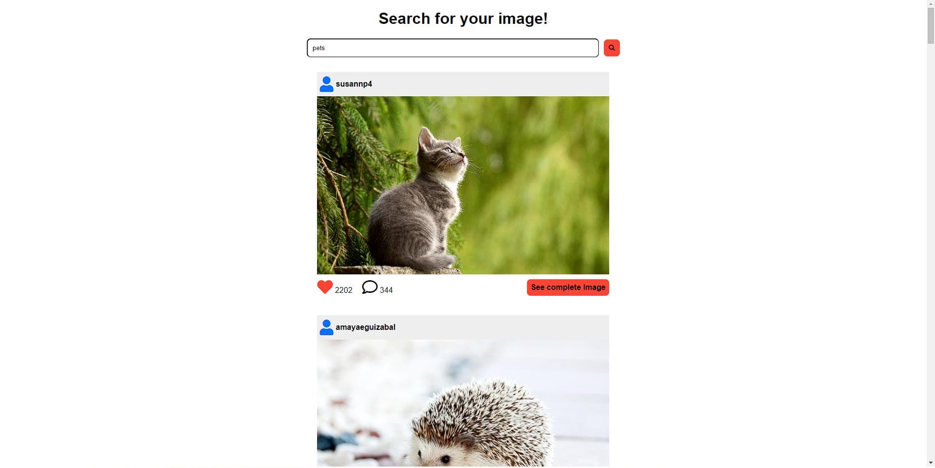 Images Searcher App